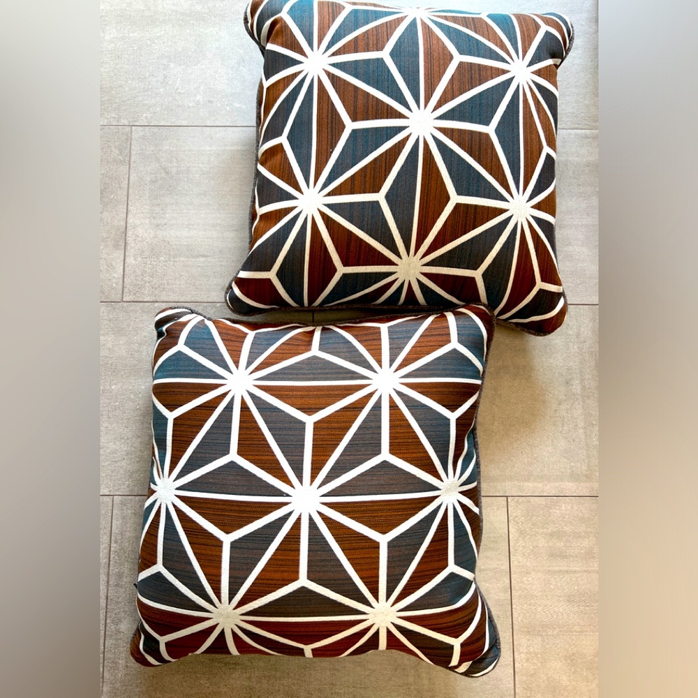 NWOT pair of throw pillows! 20” sq w/ fun print w solid reverse. Use/add a cover